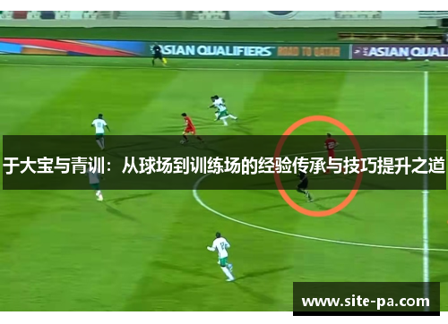 于大宝与青训:从球场到训练场的经验传承与技巧提升之道 于大宝与青训:从球场到训练场的经验传承与技巧提升之道