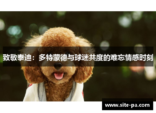 致敬泰迪:多特蒙德与球迷共度的难忘情感时刻 致敬泰迪:多特蒙德与球迷共度的难忘情感时刻