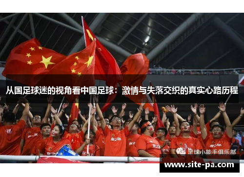 从国足球迷的视角看中国足球:激情与失落交织的真实心路历程 从国足球迷的视角看中国足球:激情与失落交织的真实心路历程