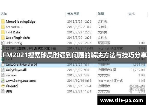 FM2021搜索球员时遇到问题的解决方法与技巧分享