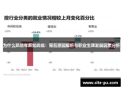 为什么凯恩年薪如此低：背后原因解析与职业生涯发展因素分析