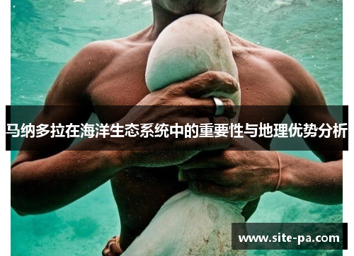 马纳多拉在海洋生态系统中的重要性与地理优势分析