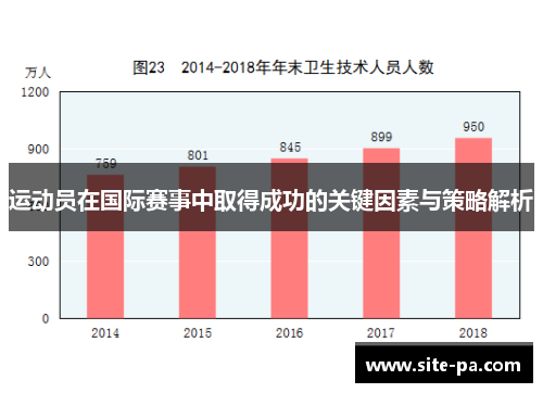 运动员在国际赛事中取得成功的关键因素与策略解析