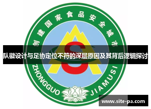 队徽设计与足协定位不符的深层原因及其背后逻辑探讨