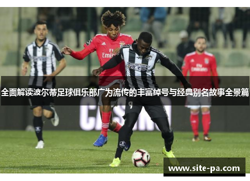 全面解读波尔蒂足球俱乐部广为流传的丰富绰号与经典别名故事全景篇 全面解读波尔蒂足球俱乐部广为流传的丰富绰号与经典别名故事全景篇