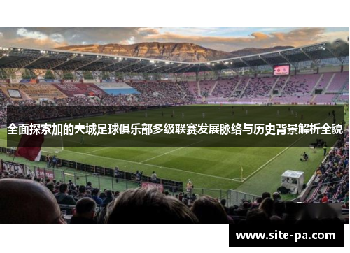 全面探索加的夫城足球俱乐部多级联赛发展脉络与历史背景解析全貌