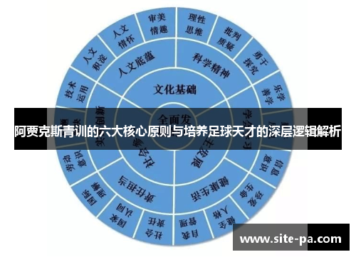 阿贾克斯青训的六大核心原则与培养足球天才的深层逻辑解析 阿贾克斯青训的六大核心原则与培养足球天才的深层逻辑解析