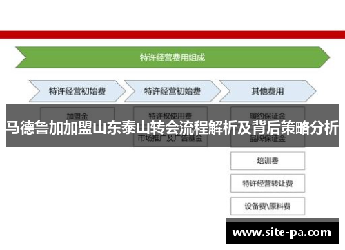 马德鲁加加盟山东泰山转会流程解析及背后策略分析