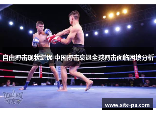 自由搏击现状堪忧 中国搏击衰退全球搏击面临困境分析 自由搏击现状堪忧 中国搏击衰退全球搏击面临困境分析