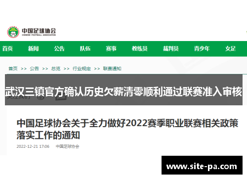 武汉三镇官方确认历史欠薪清零顺利通过联赛准入审核 武汉三镇官方确认历史欠薪清零顺利通过联赛准入审核